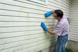 Best Siding Removal and Disposal  in Mount Vernon, MD